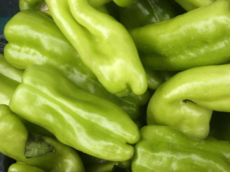 green peppers look